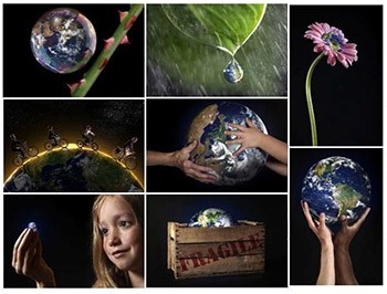 Les visuels sélectionnés par les internautes pour illustrer les timbres climat