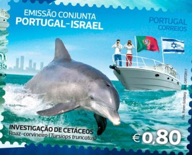 Portugal_dauphins