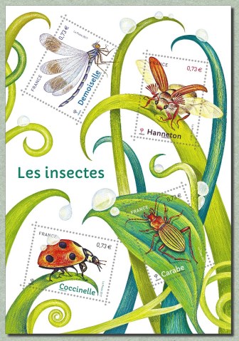 Insectes_BF_2017