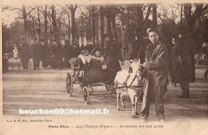 Ch16_attele
