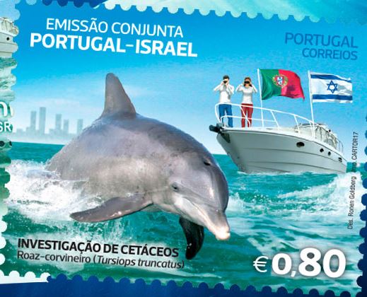 Portugal_dauphins