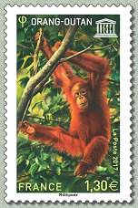 UNESCO_Orang_Outan_2017