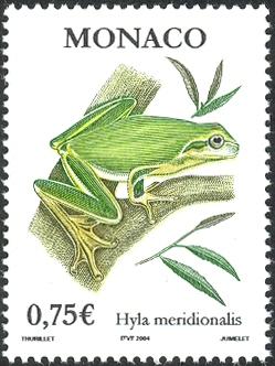 Grenouille1