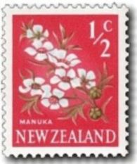 NZ_Manuka