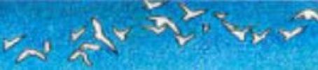 Detail4