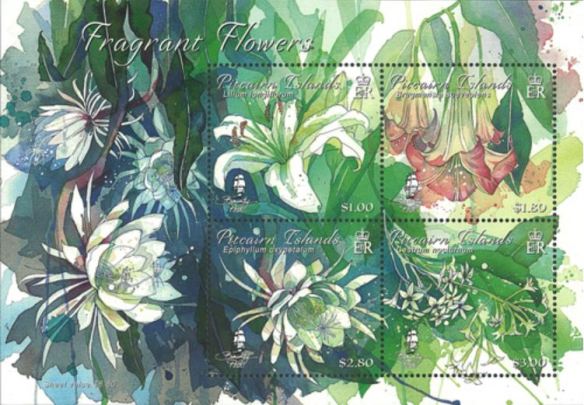 Pitcairn_fleurs