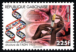 Gabon 2000_ADN