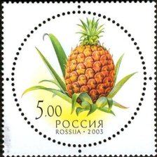 Russie_fruits1