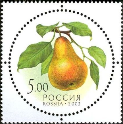 Russie_fruits2
