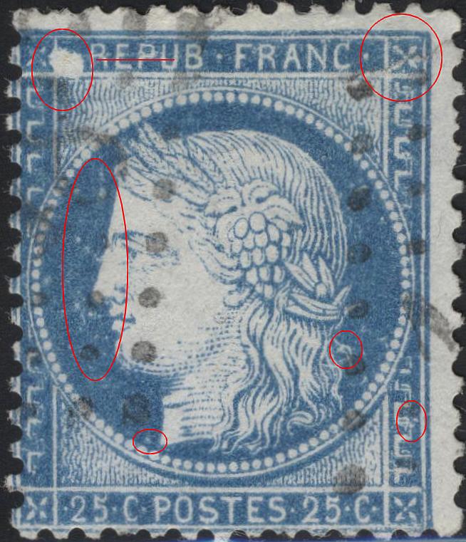 Variété 16 plus petites taches